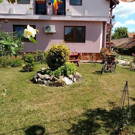 Pensiunea Oana Hotell Balc Exteriör bild