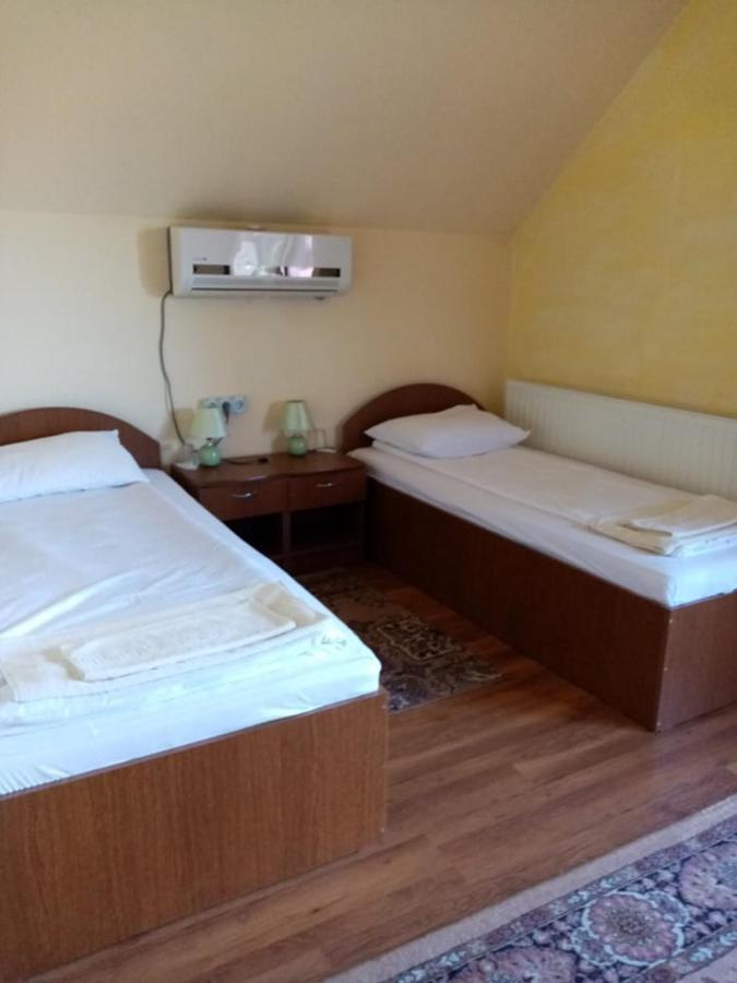 Pensiunea Oana Hotell Balc Exteriör bild