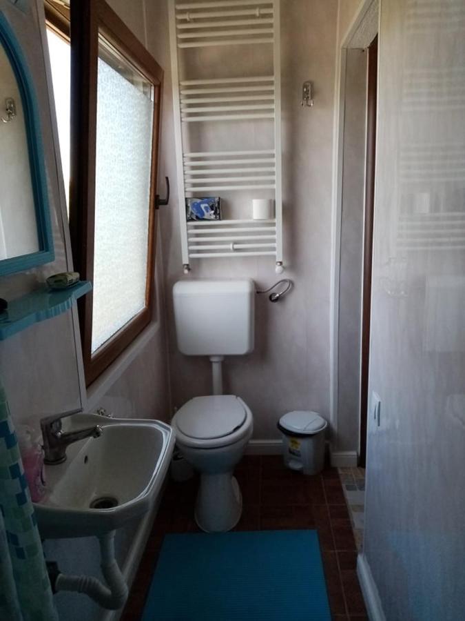 Pensiunea Oana Hotell Balc Exteriör bild
