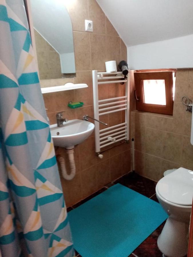 Pensiunea Oana Hotell Balc Exteriör bild