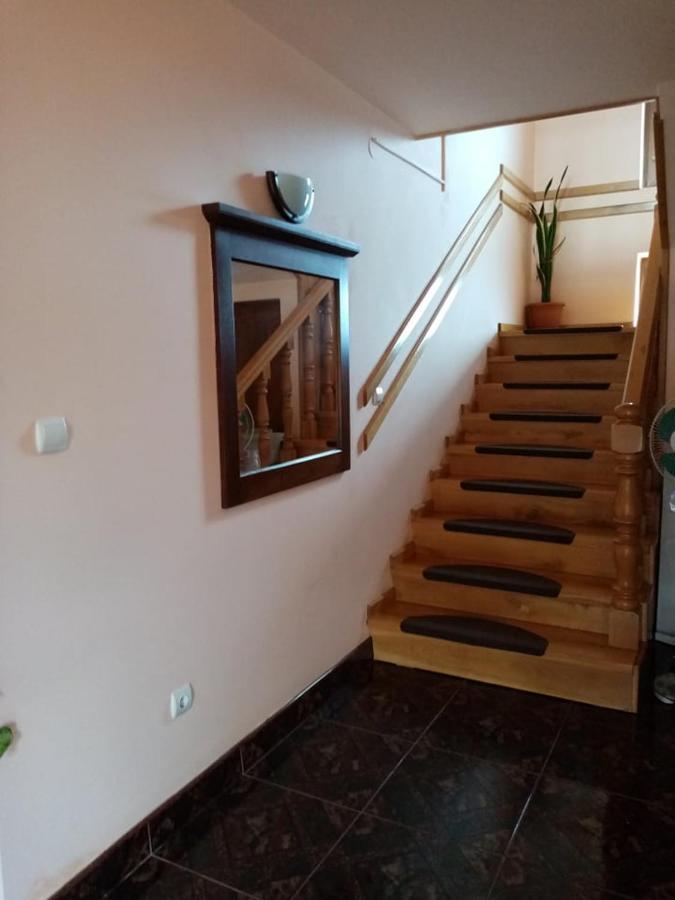Pensiunea Oana Hotell Balc Exteriör bild
